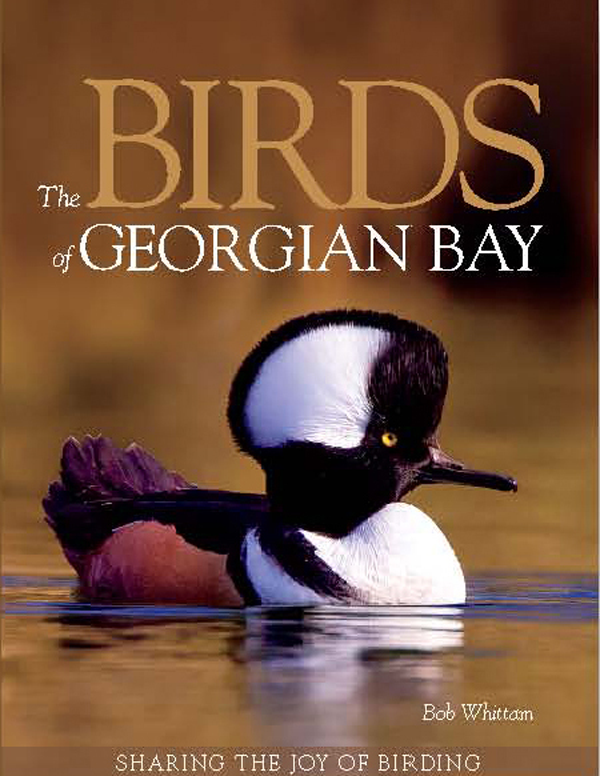 Buy Now Birds of Georgian Bay Book