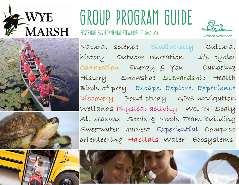 Group Program Guide