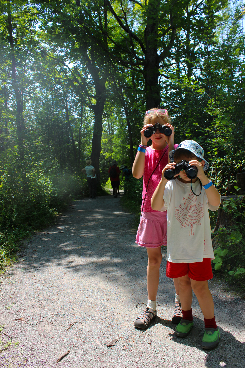 Children Birdwatching