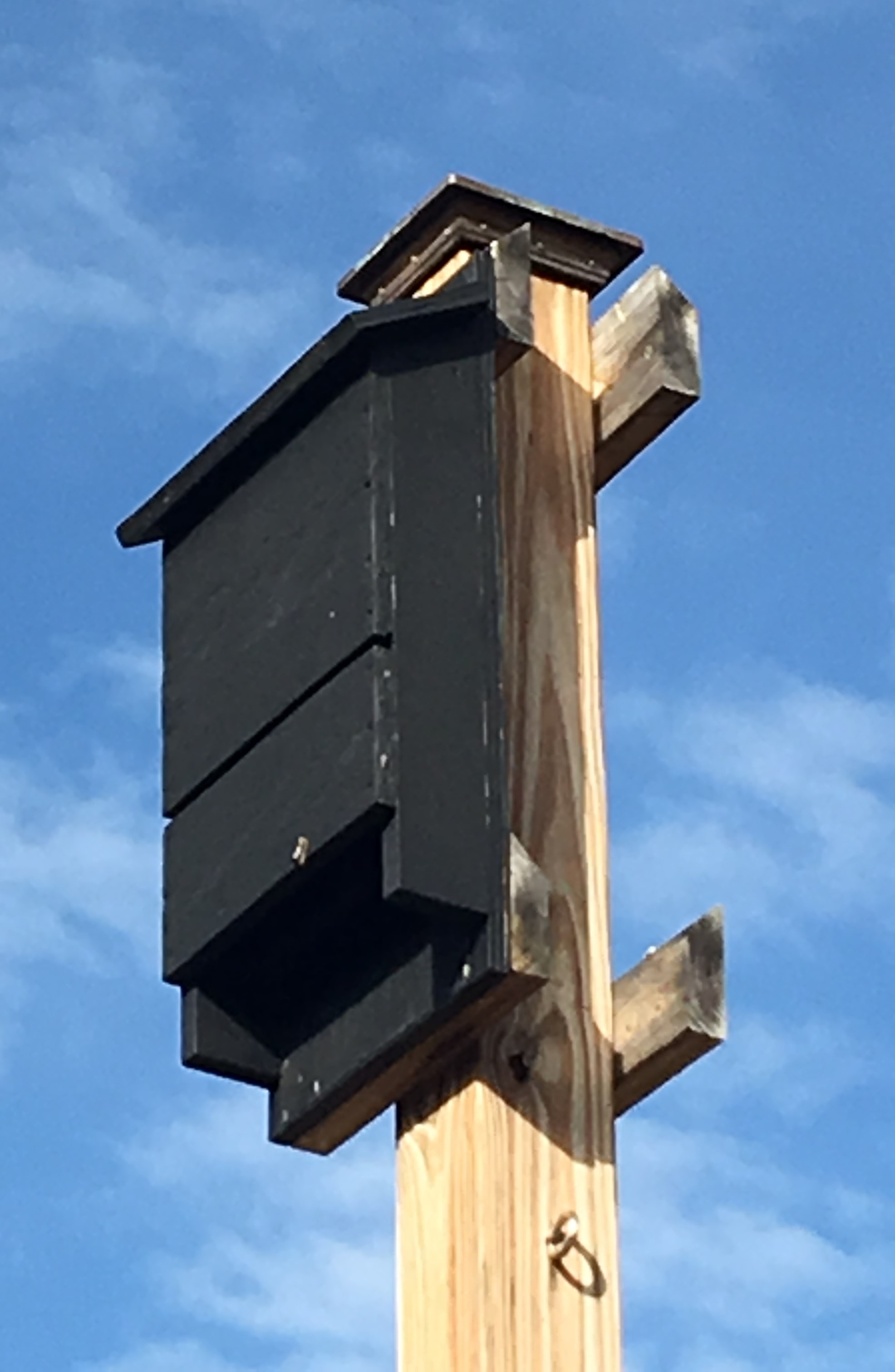 Bat Box