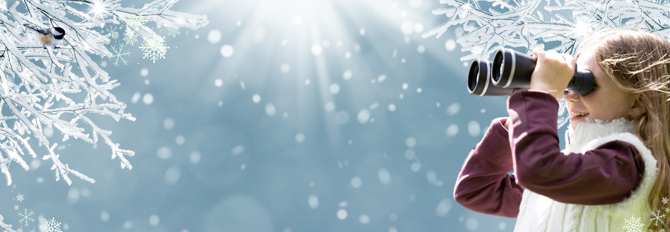 Christmas Bird Count 4 Kids