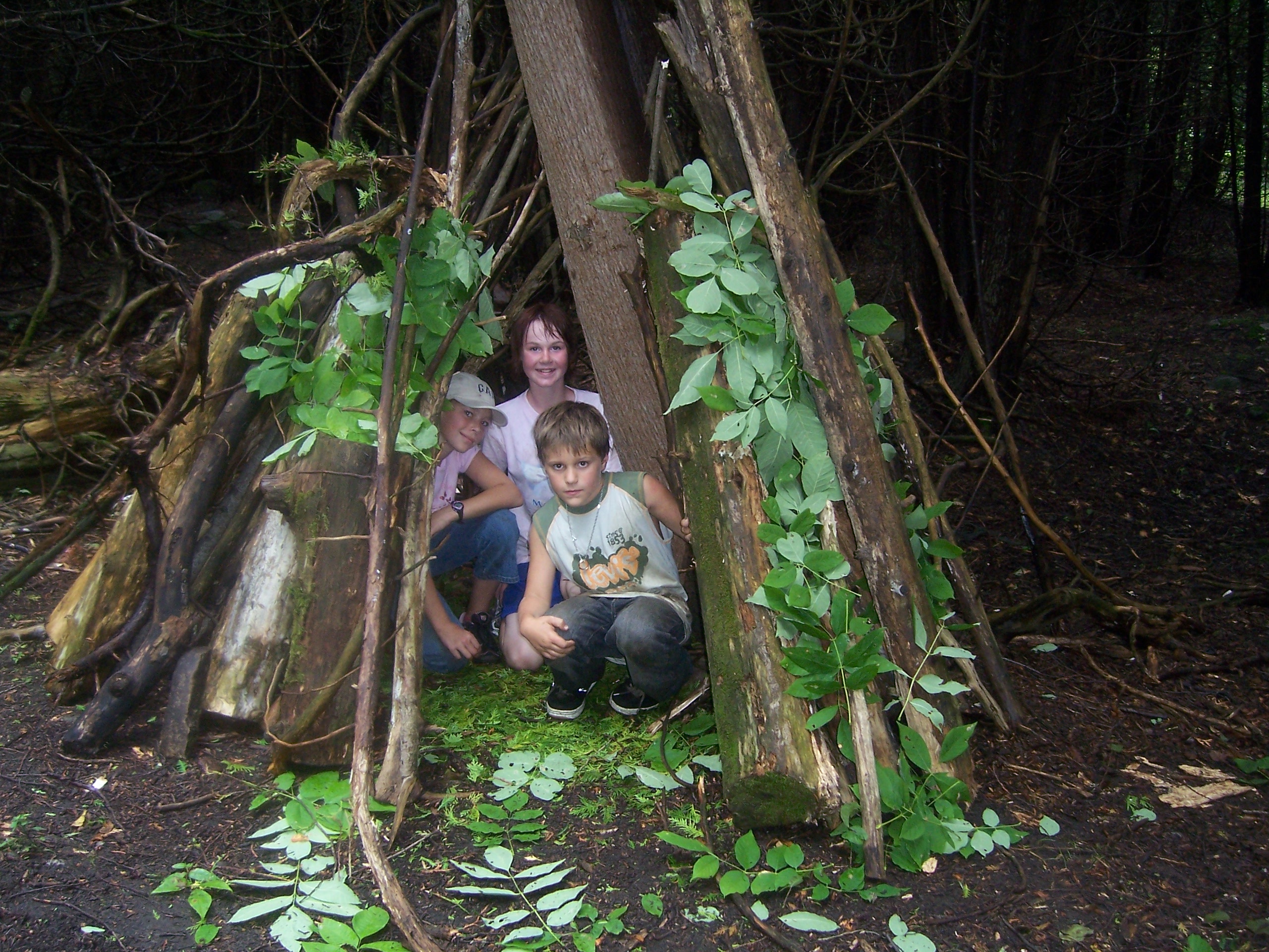Shelter Building