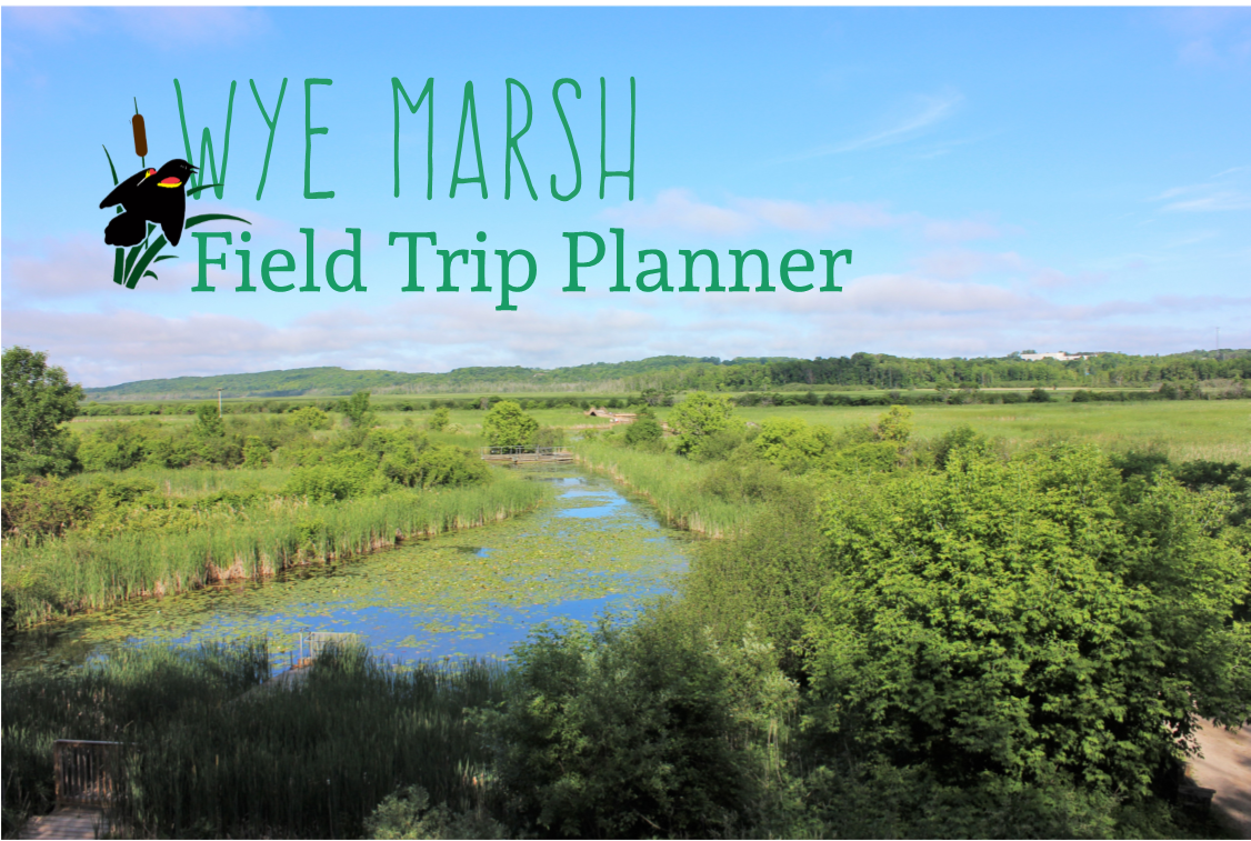 Marsh School Program Guide