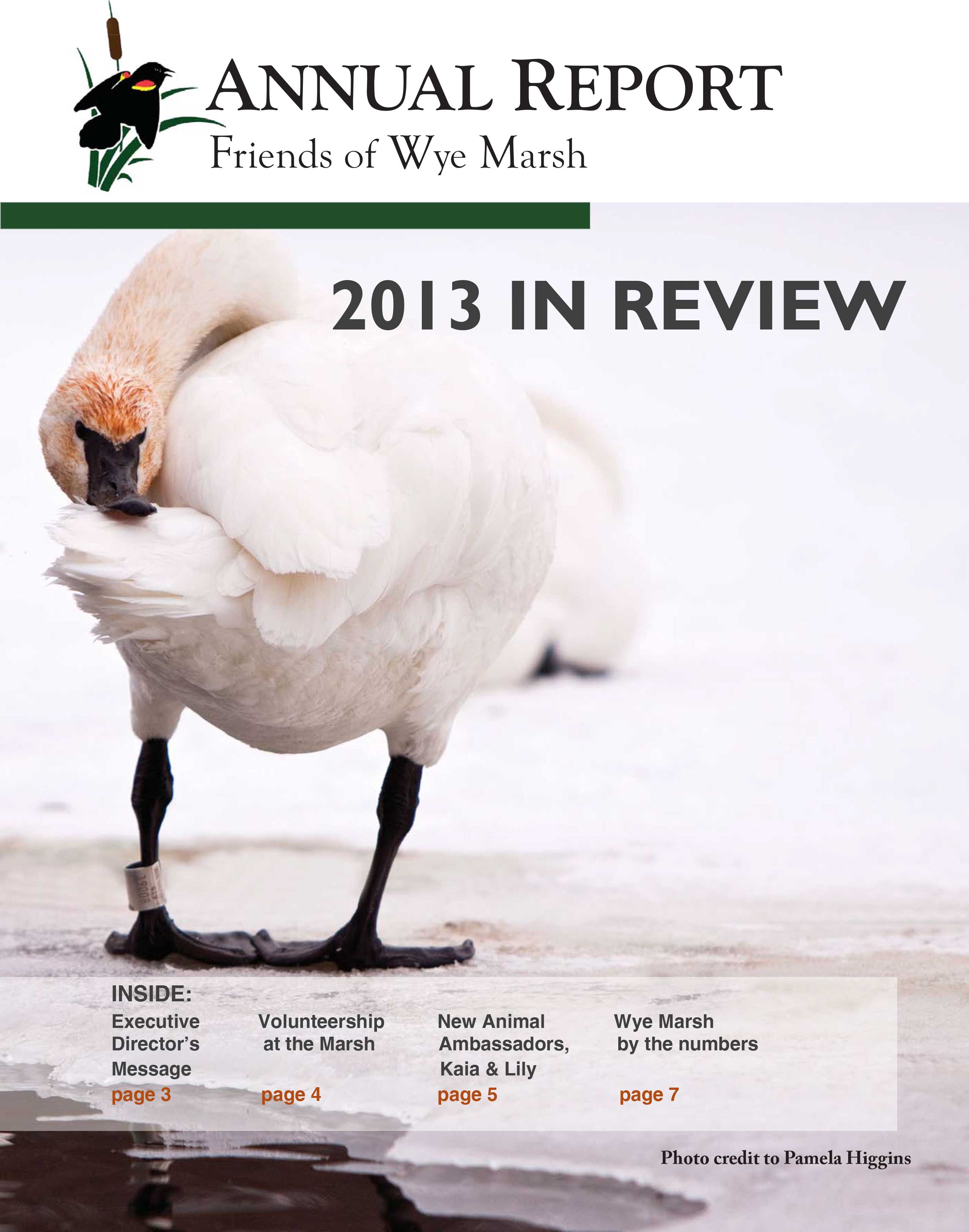 2013 Annual Report