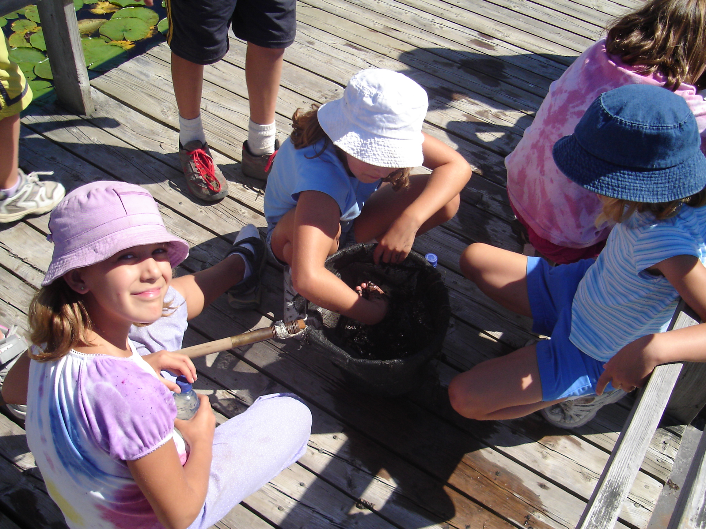 Outdoor Field Trips and Education Wye Marsh Wildlife Centre