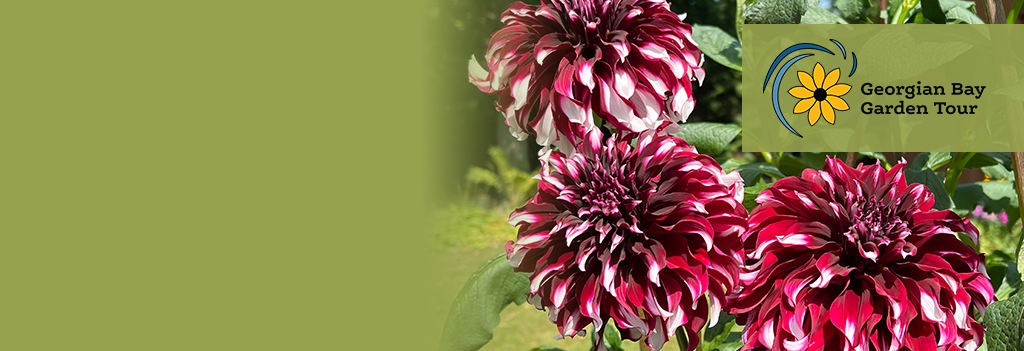 Georgian Bay Garden Tour