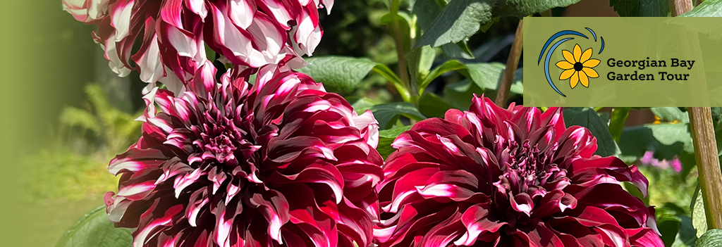 Georgian Bay Garden Tour