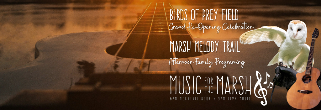 Music for the Marsh!